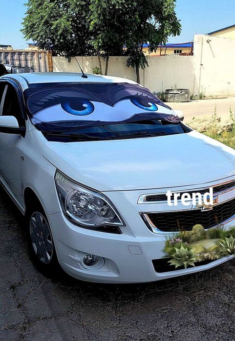 Avtomobil old oynasi uchun quyoshlik parda, Ko'zlar, Quyoshdan himoya