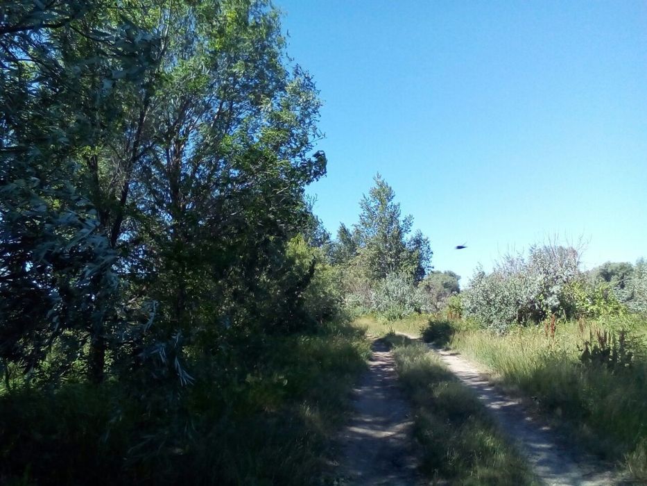 Продам земельный участок