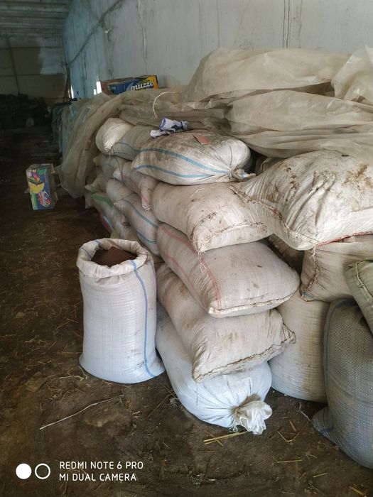 Олий навли Биогумус сотамиз тулов нахт, пластик, клик