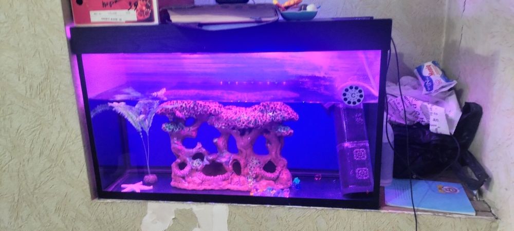 Akvaryum 200 litirlik kamplekt