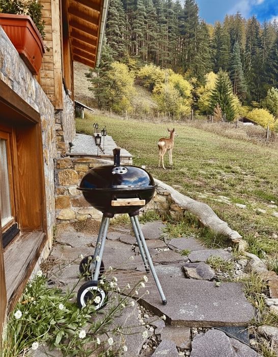 Къща за гости «Шале Изглед» гр. Чепеларе