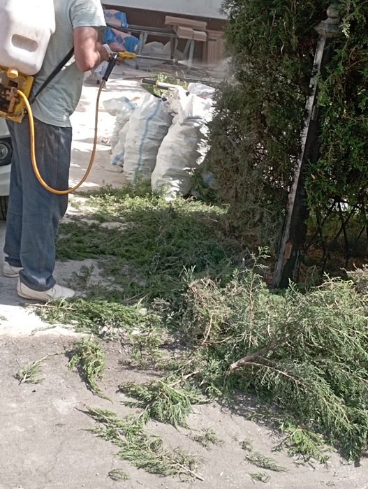 Archa kesish gazon ekish oʻrish