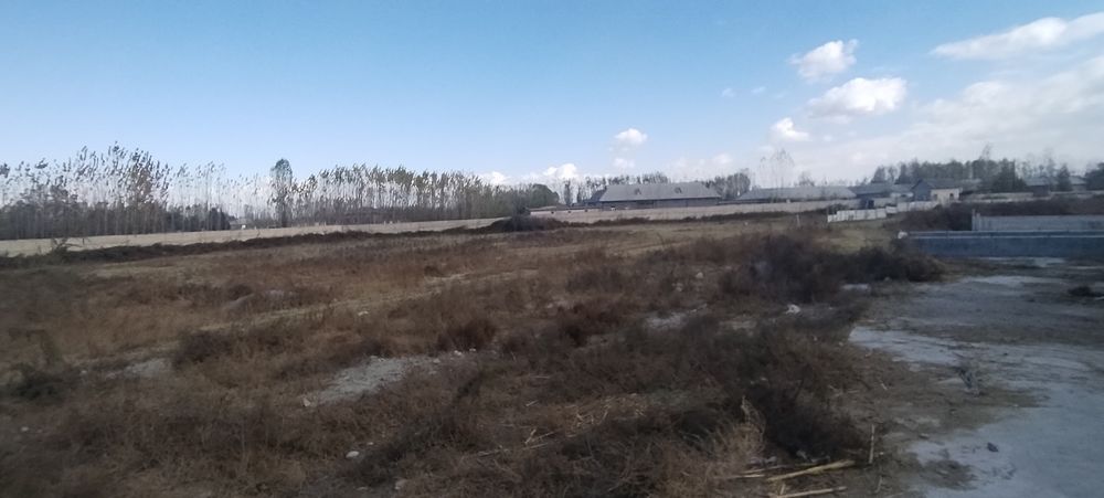 Тошлок туманида жойлашган 4 гектарли молхона бино иншоати