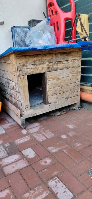 Cusca caine talie medie mare