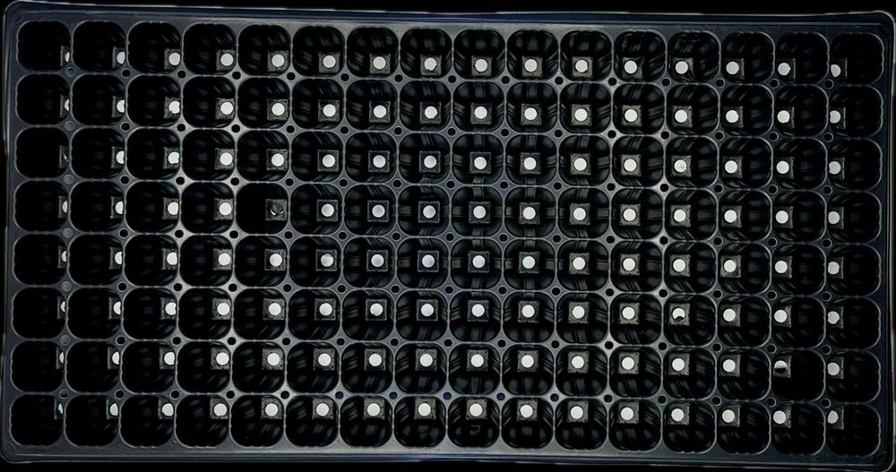 Табли и форми за разсад