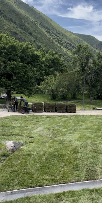 Уклдка газона