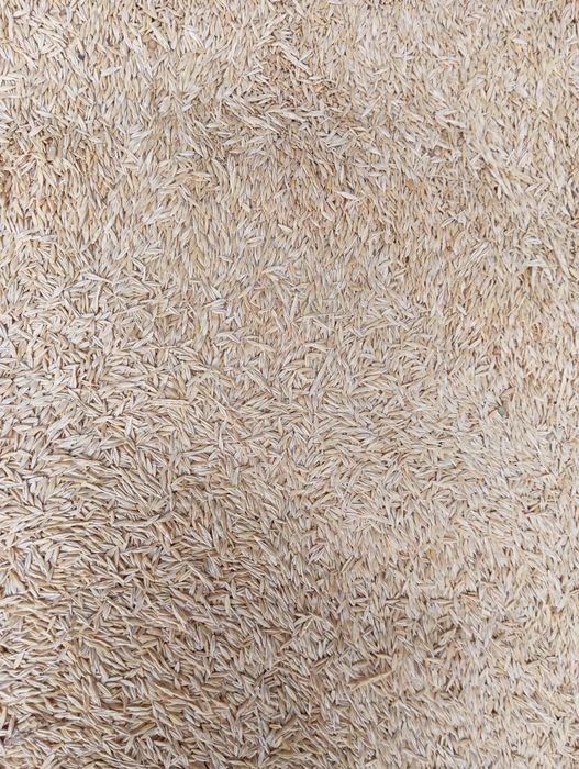 Арпа сатам 1 тонна