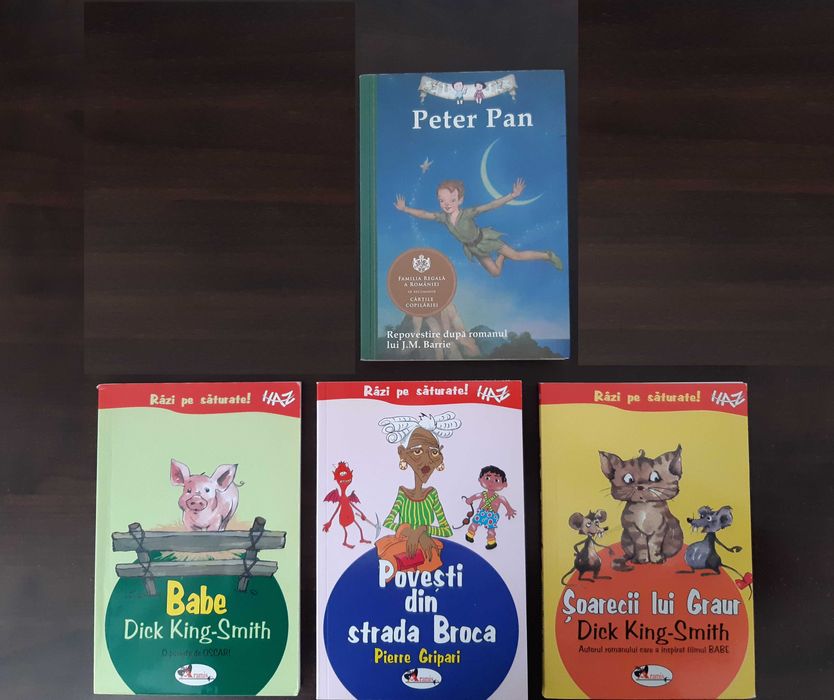 Carți bibliografie școlară