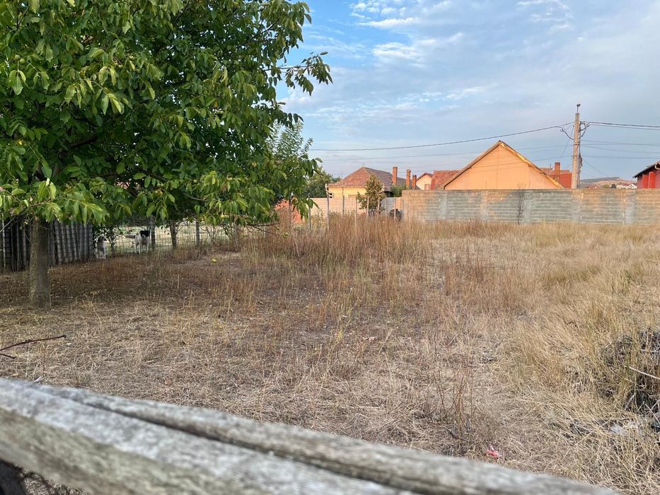 Casa cu grădină  pe 2000 mp în SEBES