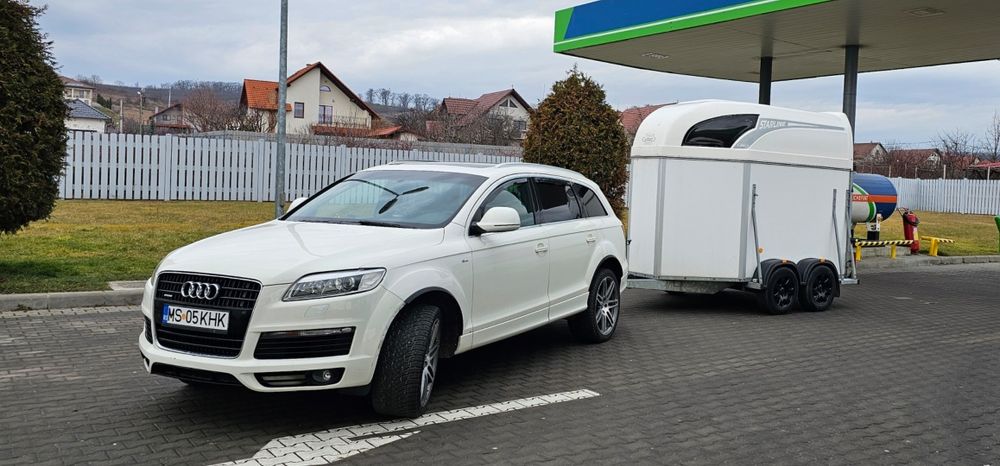 Transport animale, animale vii, transport cai, transport vaci