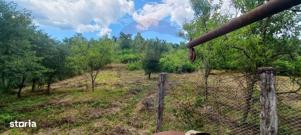 Teren Intravilan de vanzare 3551mp Poiana Copaceni Com Gura Vitioarei