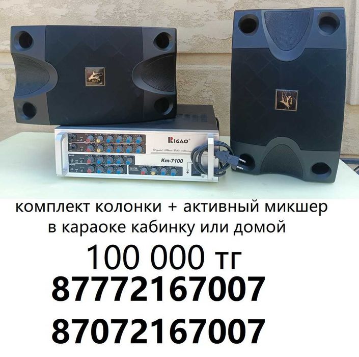 Караочные колонки 8" по 100W