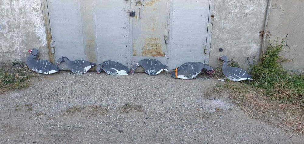 Продам профиля гусей