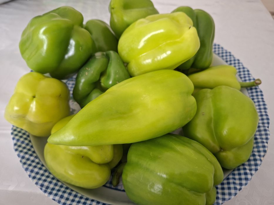 Перец домашний сладкий