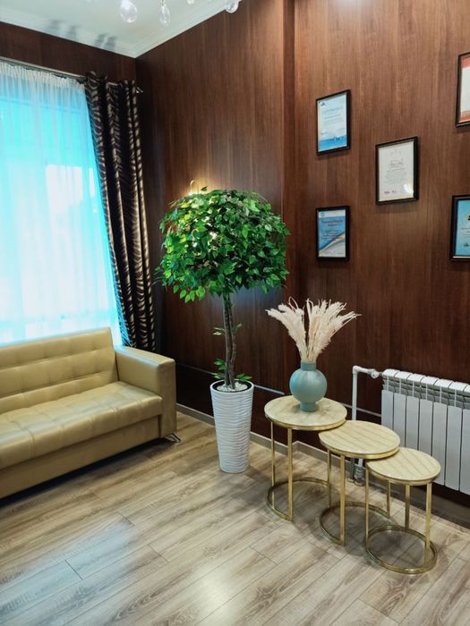 Искуственные деревья с кашпо и декор камнями