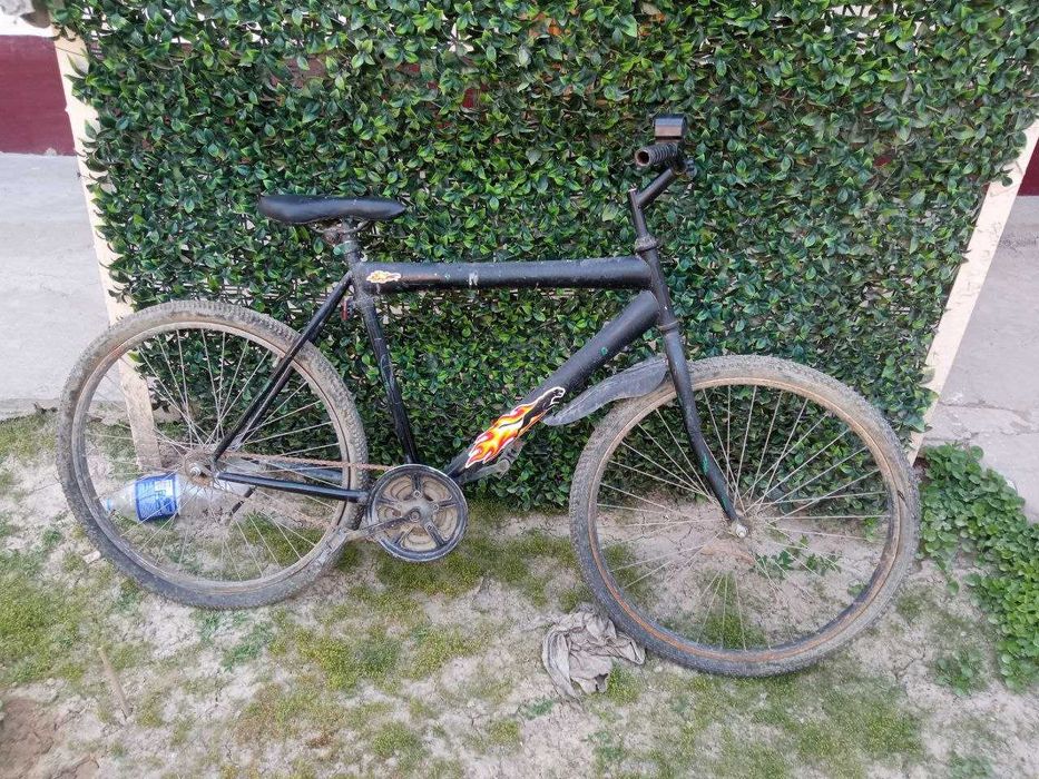 Velosiped 29-razmerda Srochna sotiladi holati yaxshi