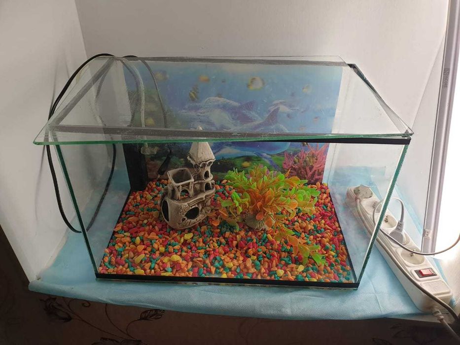 Продам аквариум  с водонагревателем и аксессуарами