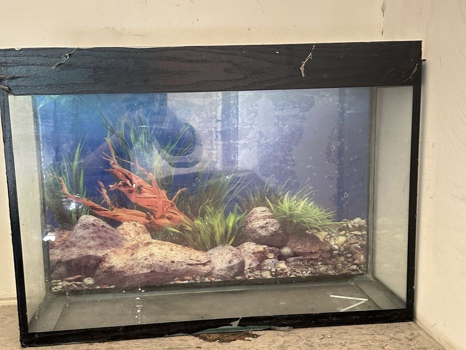 Аквариумдар сатылады