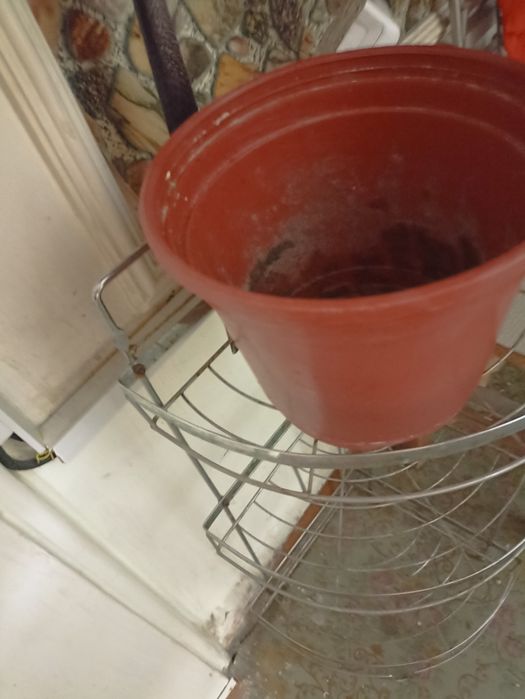 Ведра, разные, б/у, целые, пластиковые