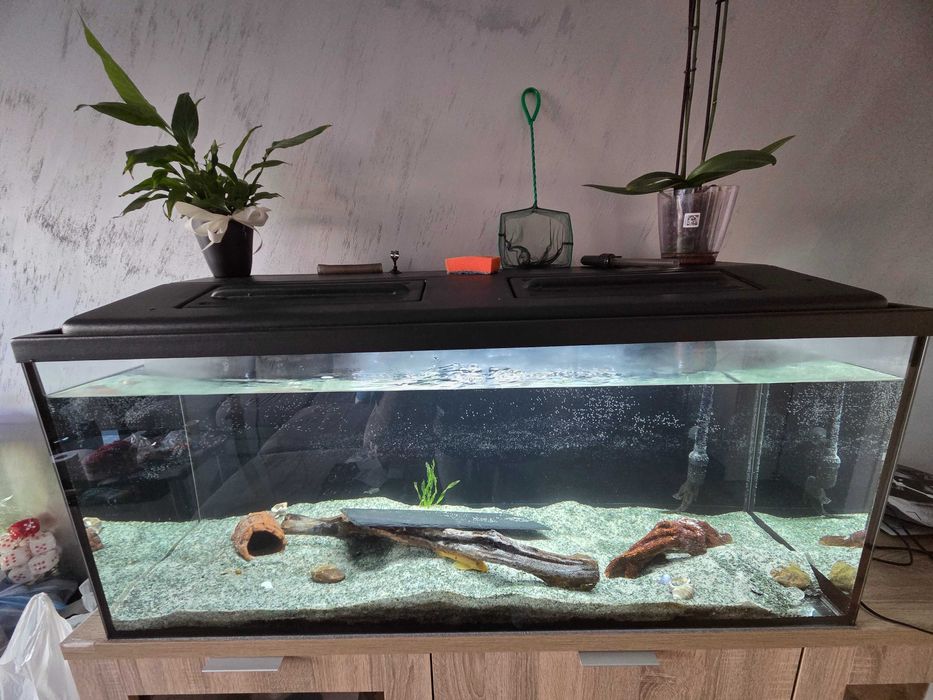 Аквариум 240л. Размер 120/40/50