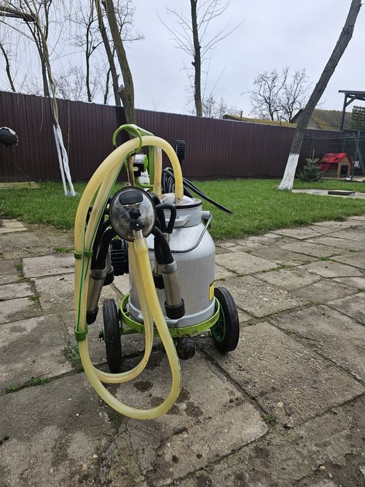 Mulgatoare pentru vaci