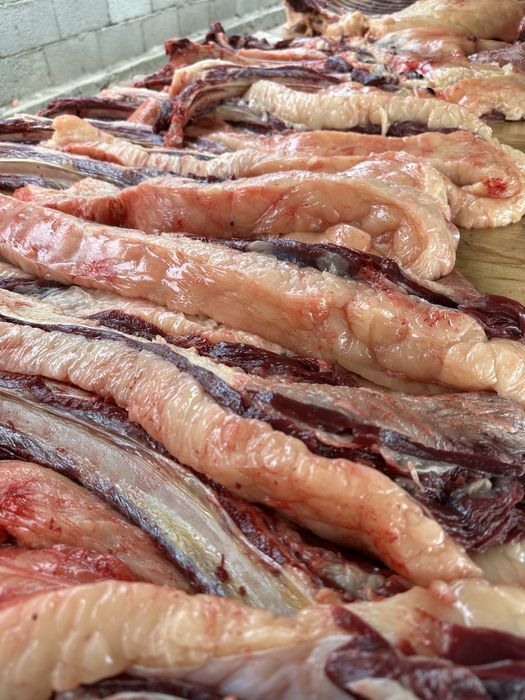 Жылқы еті/Соғым/Конина