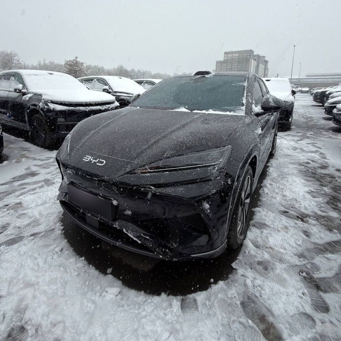 Sealion 07  3 позиция 2025 йил