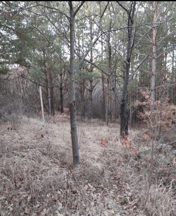 Продава парцел в с.Кременик общ.Дупница