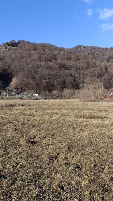 Teren sat Bradu com.Grinties Jud. Neamt