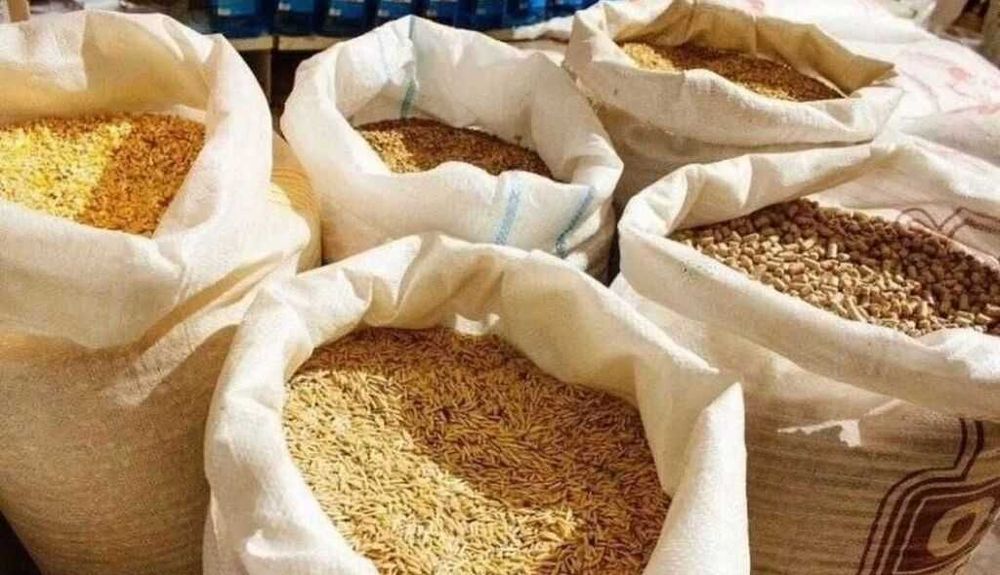 Ячмень ,пшеница, овёс