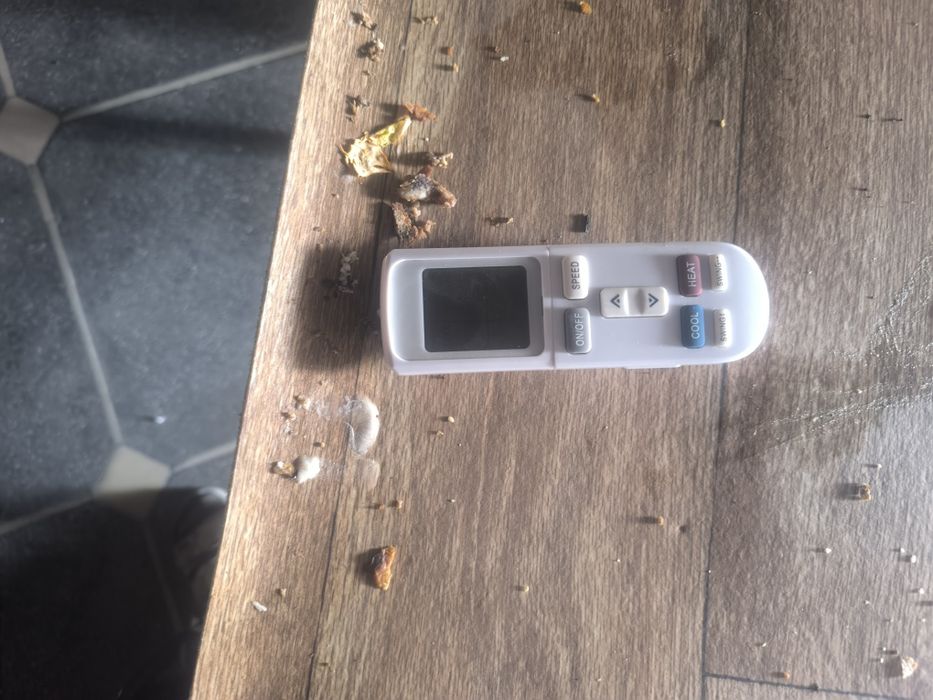 Kandisaner Artel 24 talik