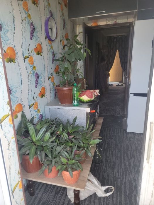 2sotixli kotej sotiladi