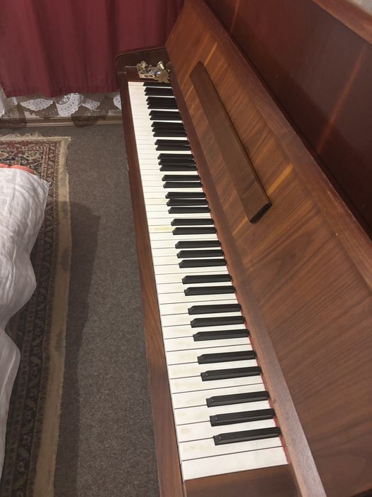 Pianina doina an 1982