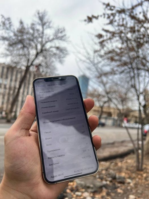 Iphone 12 pro 256 tali ideal