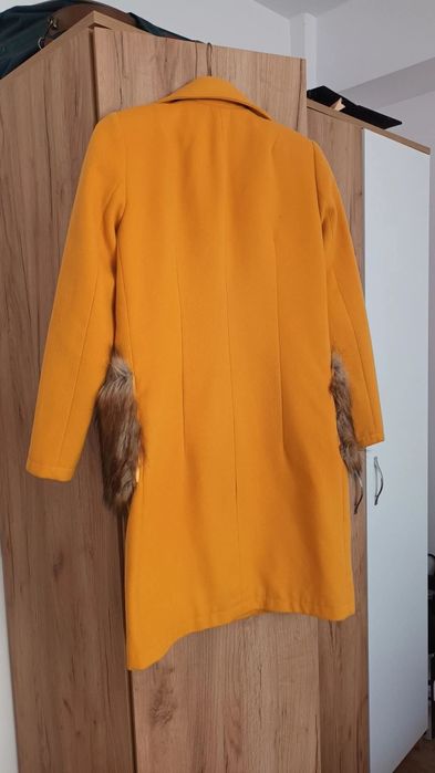 Pardesiu galben, FOGGI