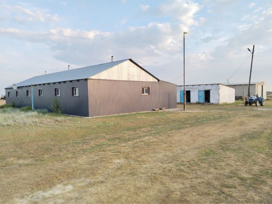 Шаруа қожалық сатылымда