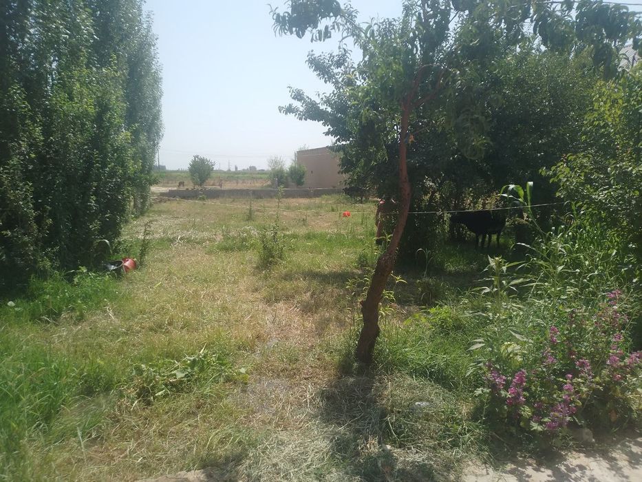 Chiroqchi kishmishtepa maxallasida yir uchastkasi sotiladi