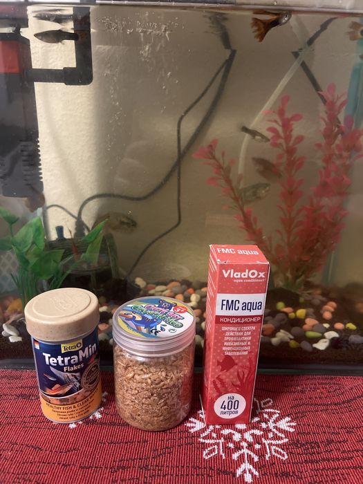 Продам аквариум с рыбками
