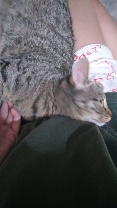 Отдам в хорошие руки