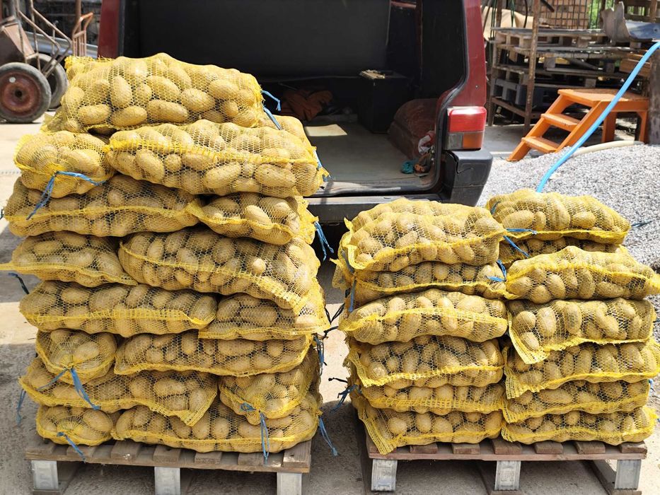 Картофи Луизиана