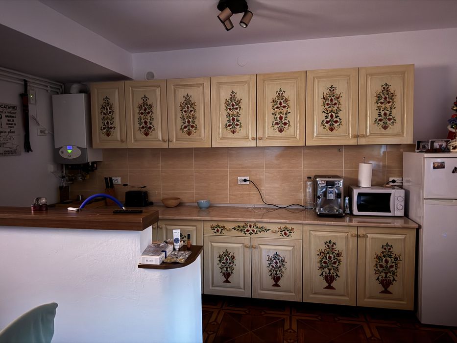 Vand casa Sura Mare