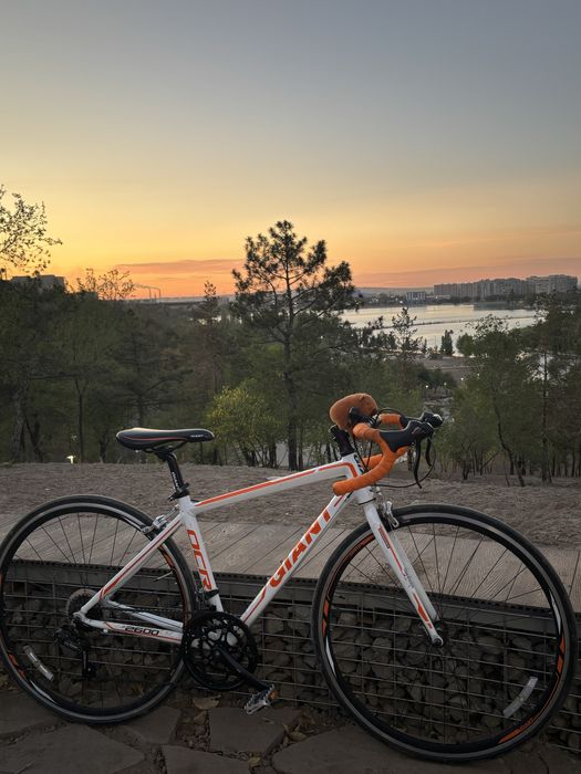 шоссейный велосипед giant