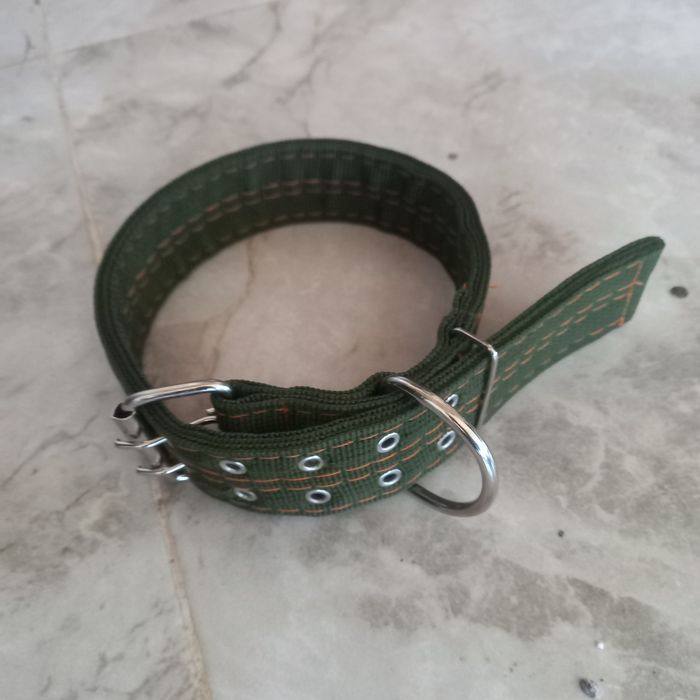 Ошейник для собаки.