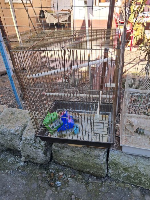 Vînd sau schimb colivii