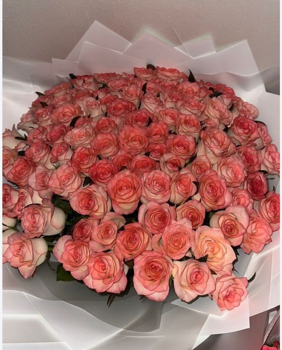 Букет роза 101 штук