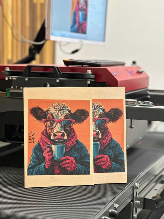 Imprimanta ambalaje si carton , TICAB TPS