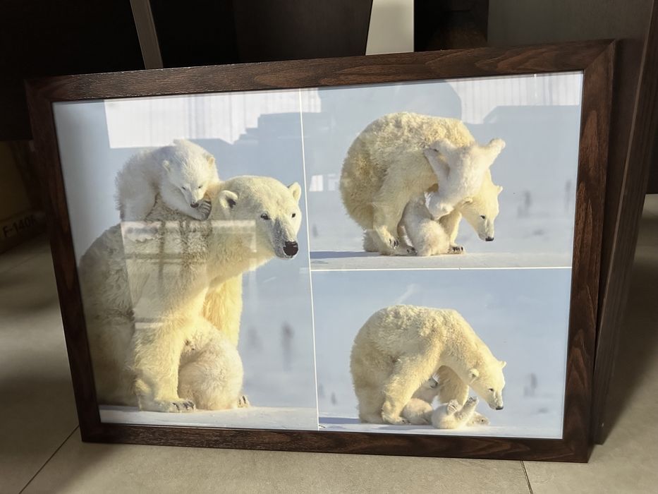 Картины (фото в рамках)