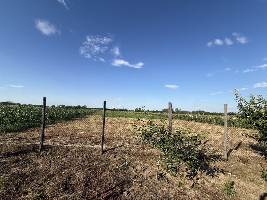 De vânzare: Casă la strada principală – Sat Olari, com. Pârșcoveni