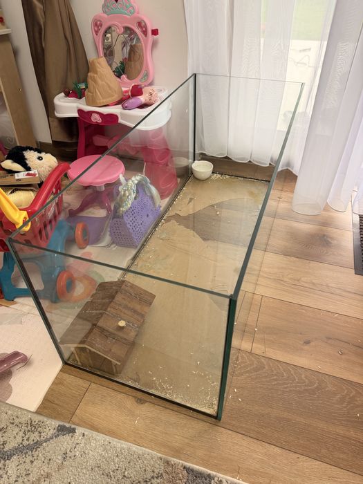 Acvariu rozatoare/ pesti / broaste testoare