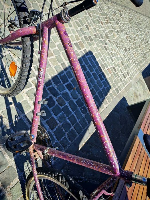 Bicicleta Mtb retro vintage pro line